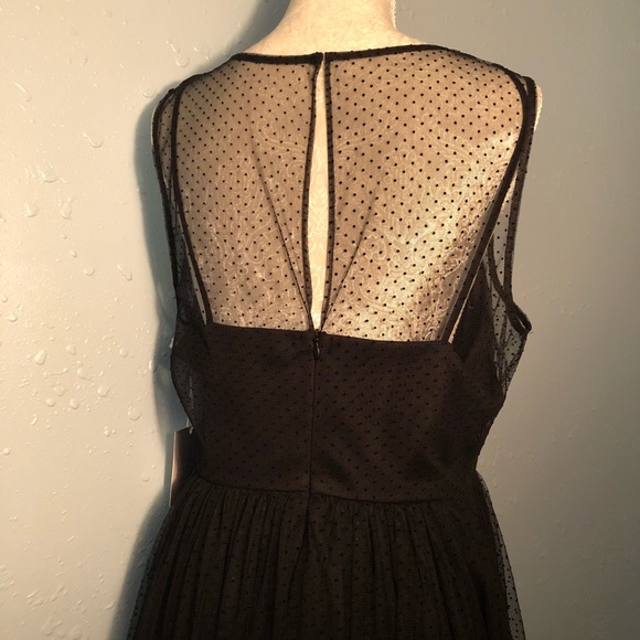 LC Lauren Conrad Midnight Garden Dress 8 - Picture 3 of 4